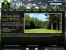 Tablet Screenshot of chasehammondgolfclub.com